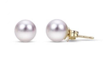 14K Yellow 7 mm Cultured Akoya Pearl Stud Earrings